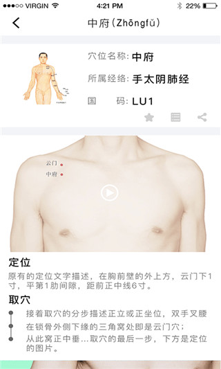 灸大夫经络图解