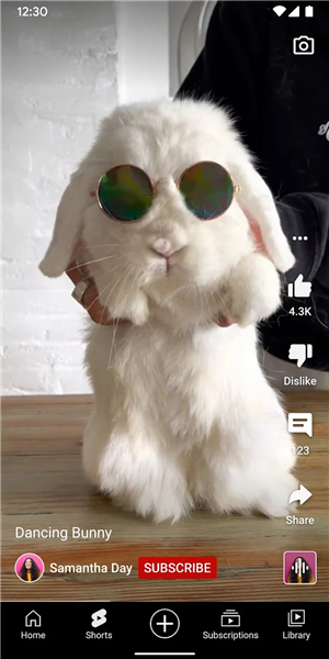 油管YouTube安卓版