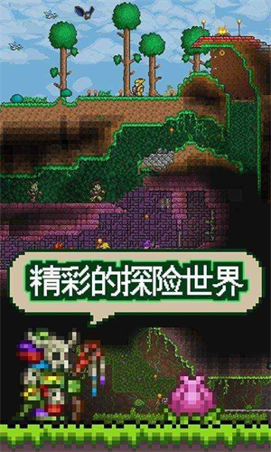 泰拉瑞亚安卓版