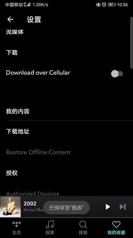 Tidal最新版