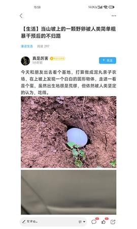 潼南论坛