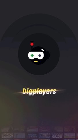 bigplayers充值平台