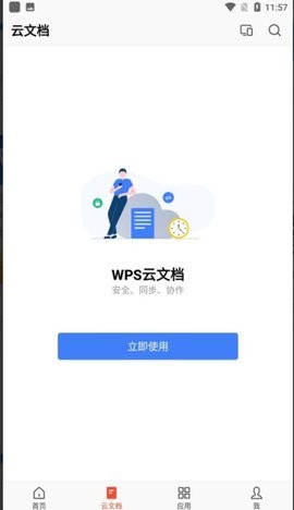 WPS专业版