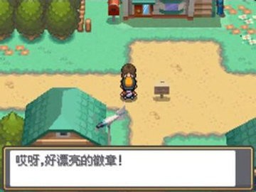 口袋妖怪最新版