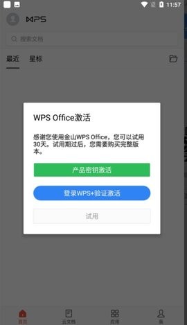 WPS专业版