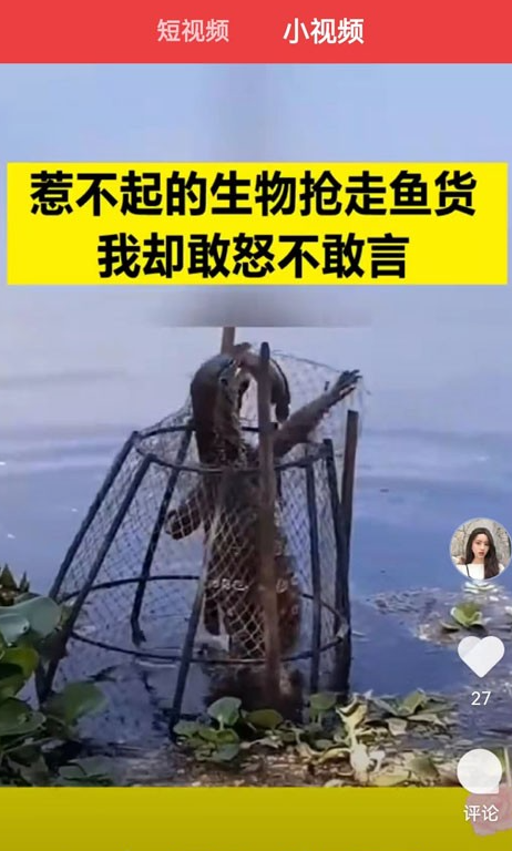 乐乐看