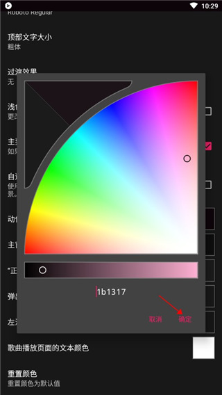 BlackPlayer EX图片13