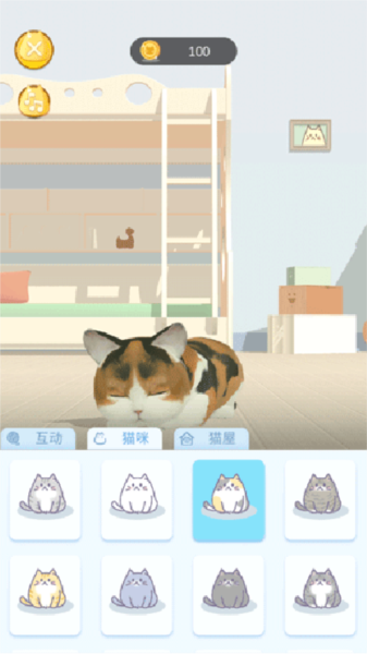 呼噜猫舍15