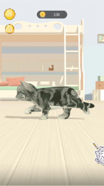 呼噜猫舍13