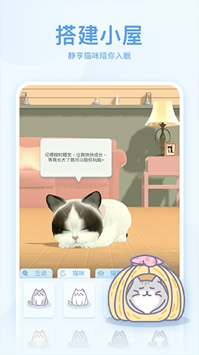 呼噜猫舍4