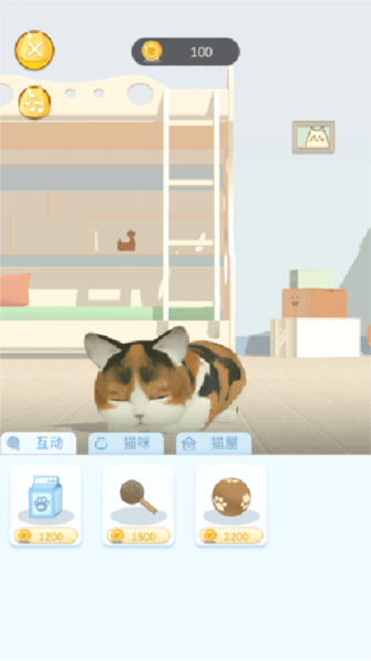 呼噜猫舍14