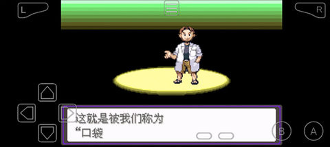 口袋妖怪漆黑的魅影中文版