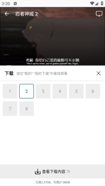 雪豹视频7