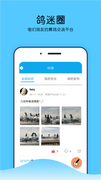 中鸽网app图片2