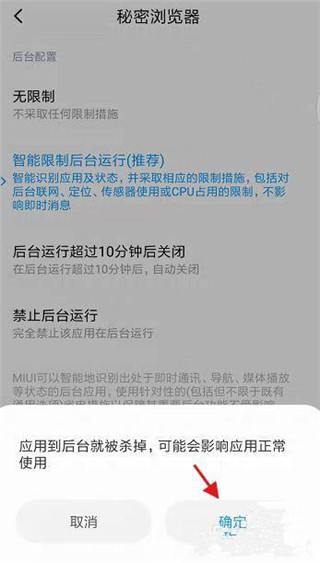 秘密浏览器8