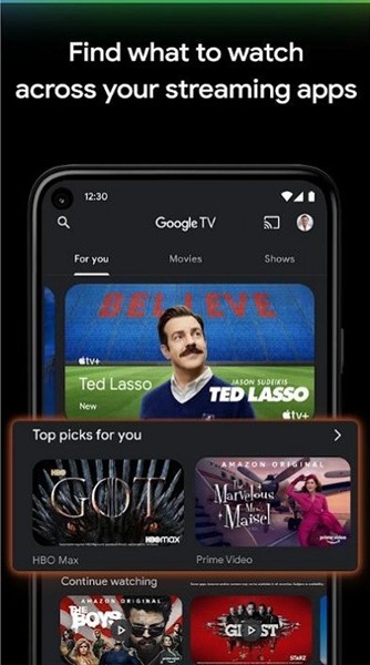 GoogleTV