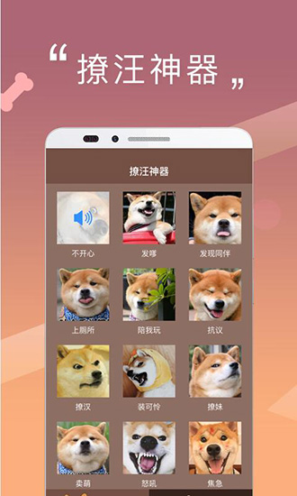 人狗交流器