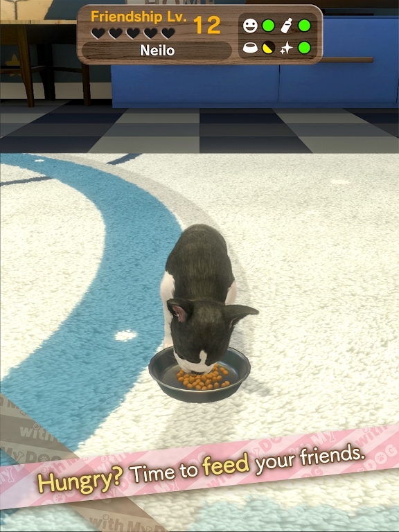 任天堂猫狗