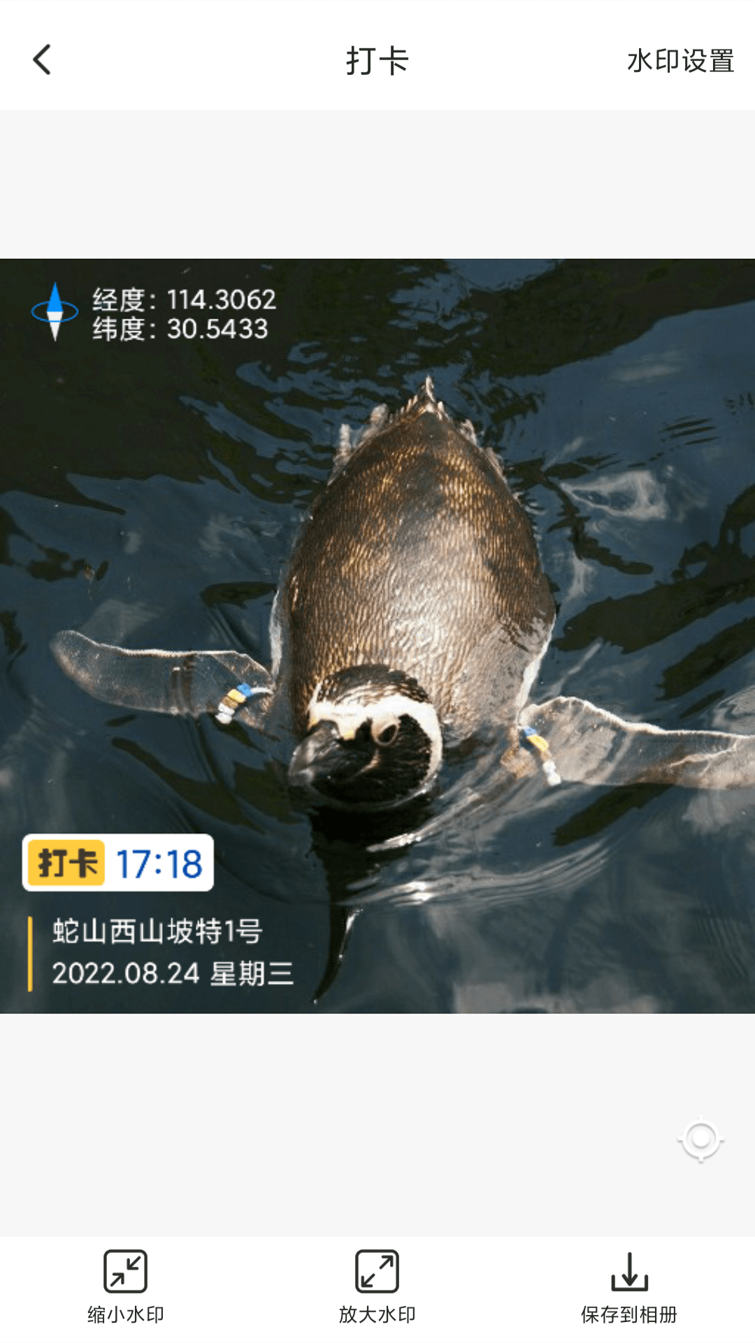 打卡定位免费版
