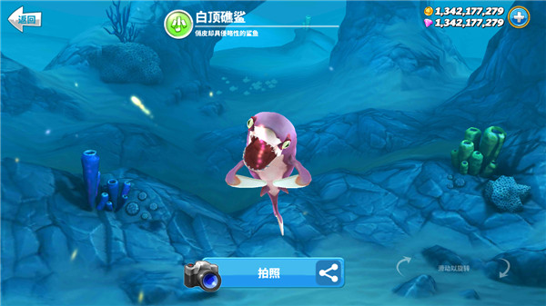 饥饿鲨世界游戏