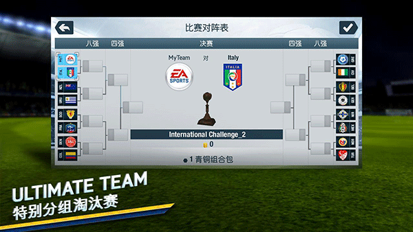 FIFA14