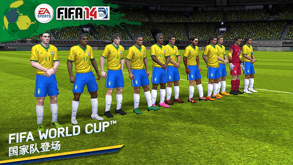 FIFA14