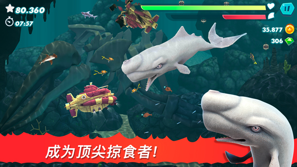 饥饿鲨进化游戏