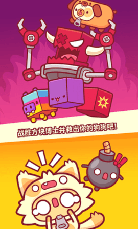 皮皮猫
