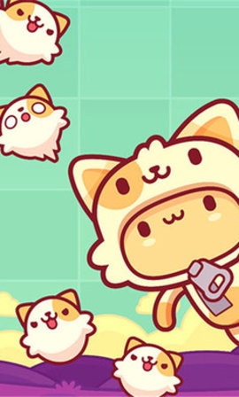 皮皮猫