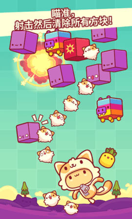 皮皮猫