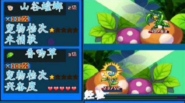 宠物王国5彩虹上帝版