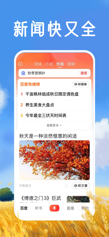 百度app大字版