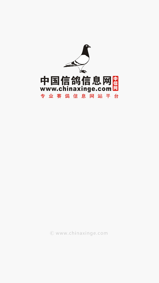 中国信鸽信息网手机版