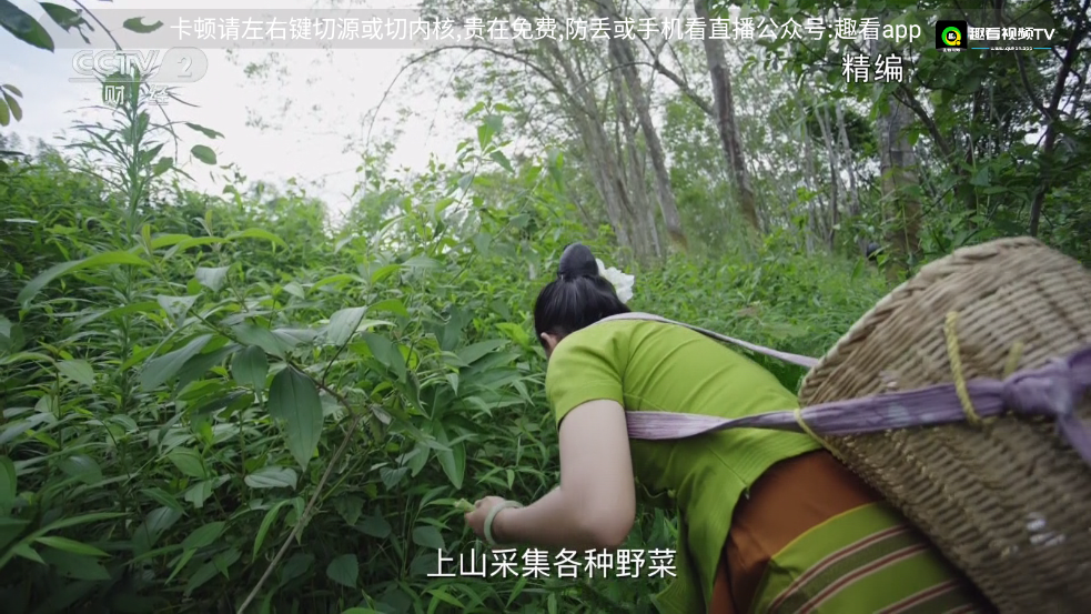 趣看视频TV最新版
