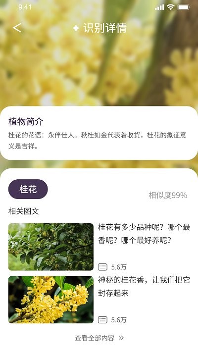 我的开心花园