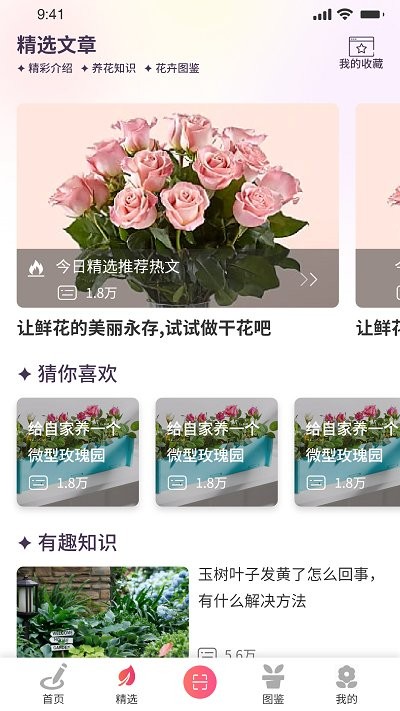 我的开心花园