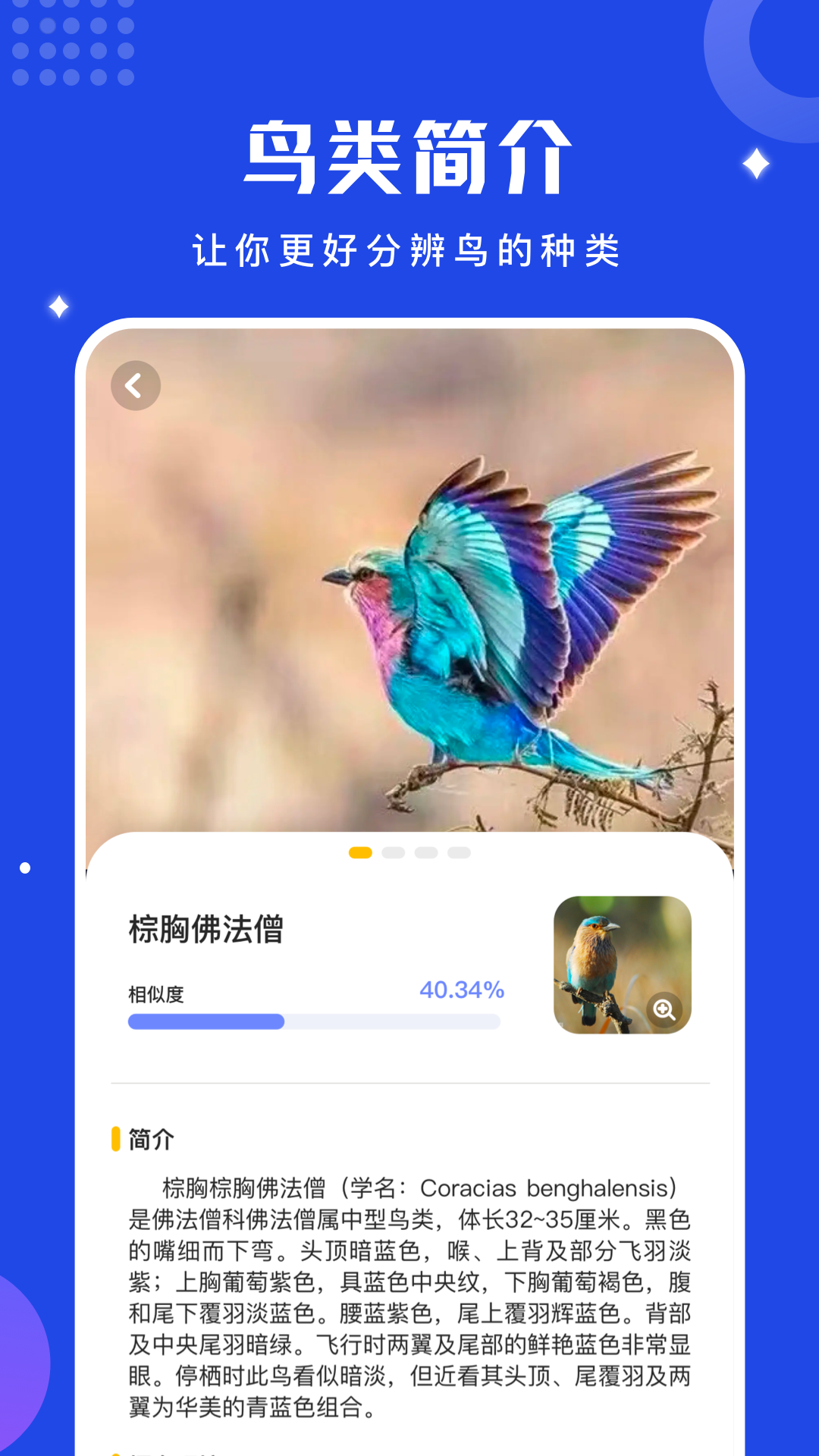 鸟语语言翻译器官方版(鸟语翻译器)
