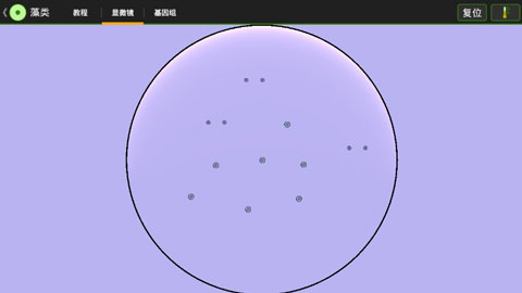细胞实验室手游
