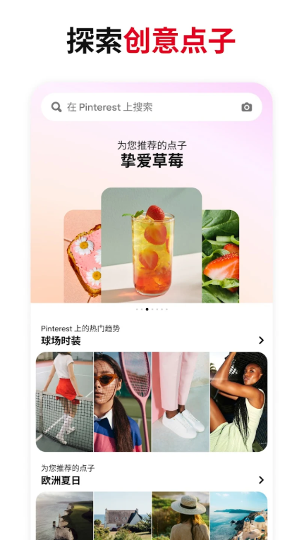 Pinterest极速版