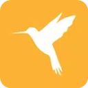 黄鸟抓包app