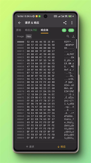 黄鸟抓包app