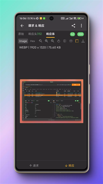 黄鸟抓包app