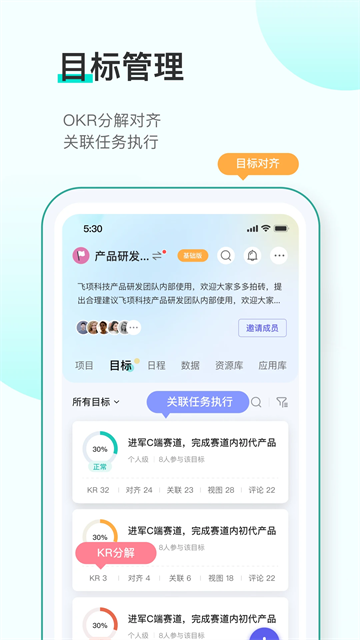 飞项app