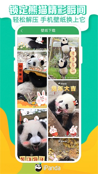 熊猫频道客户端