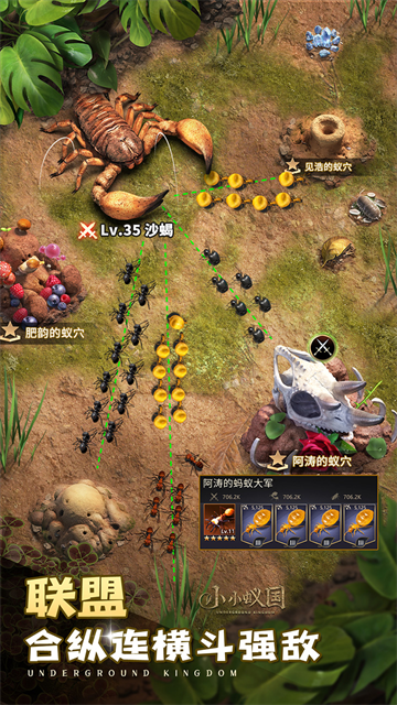 小小蚁国37