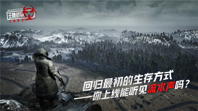 王牌战争国际版