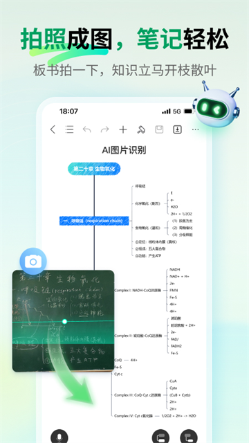 思维导图