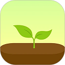 Forest专注森林免费版