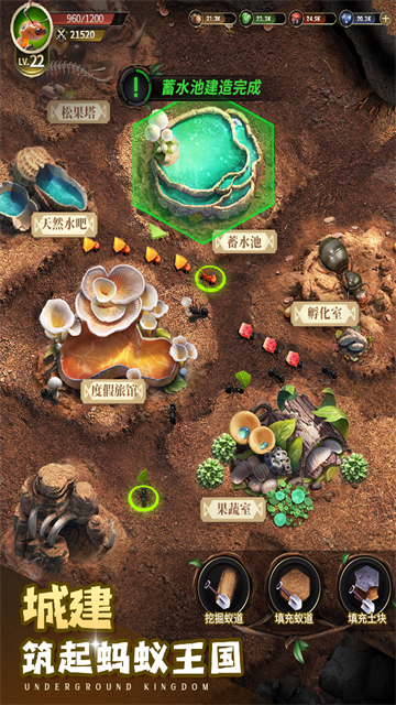小小蚁国游戏
