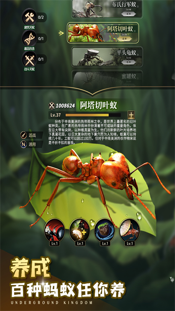 小小蚁国游戏